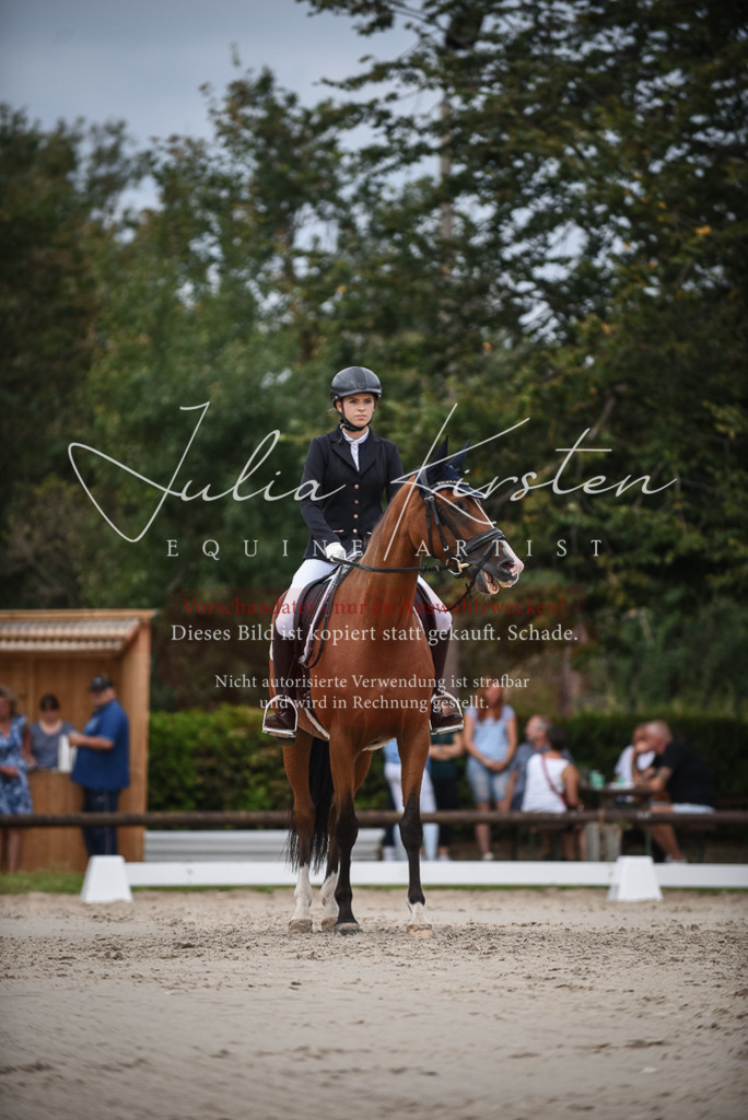 DSC_8396 | Pferde- und Turnierfotografie in Westsachsen. Pferdeportraits, Auftragszeichnungen und intuitive Kunst.