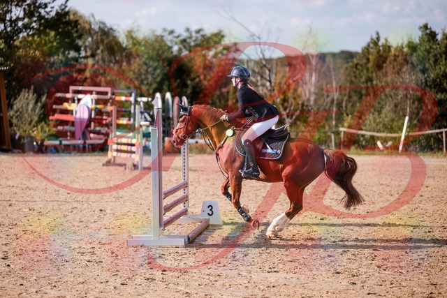 2026_10_03_Siefer-Hof_155757_Z81_77631829 | Professionelle Reitsport-, Turnier- und Eventfotografie von Robert Broda. Galerien mit ausgewählten und bearbeiteten Bildern direkt online ansehen und bestellen.