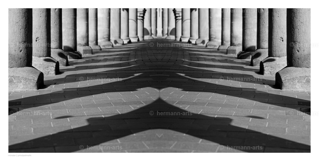 Hermann-Arts_Spiegelbilder_051 | Photo Foto Kunst Art schwarzweiss Bilder Rheine Münster Berlin Blumen 