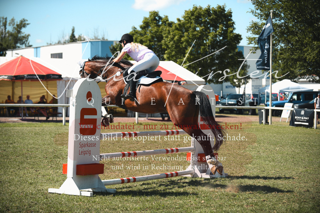 DSC_7169 | Pferde- und Turnierfotografie in Westsachsen. Pferdeportraits, Auftragszeichnungen und intuitive Kunst.