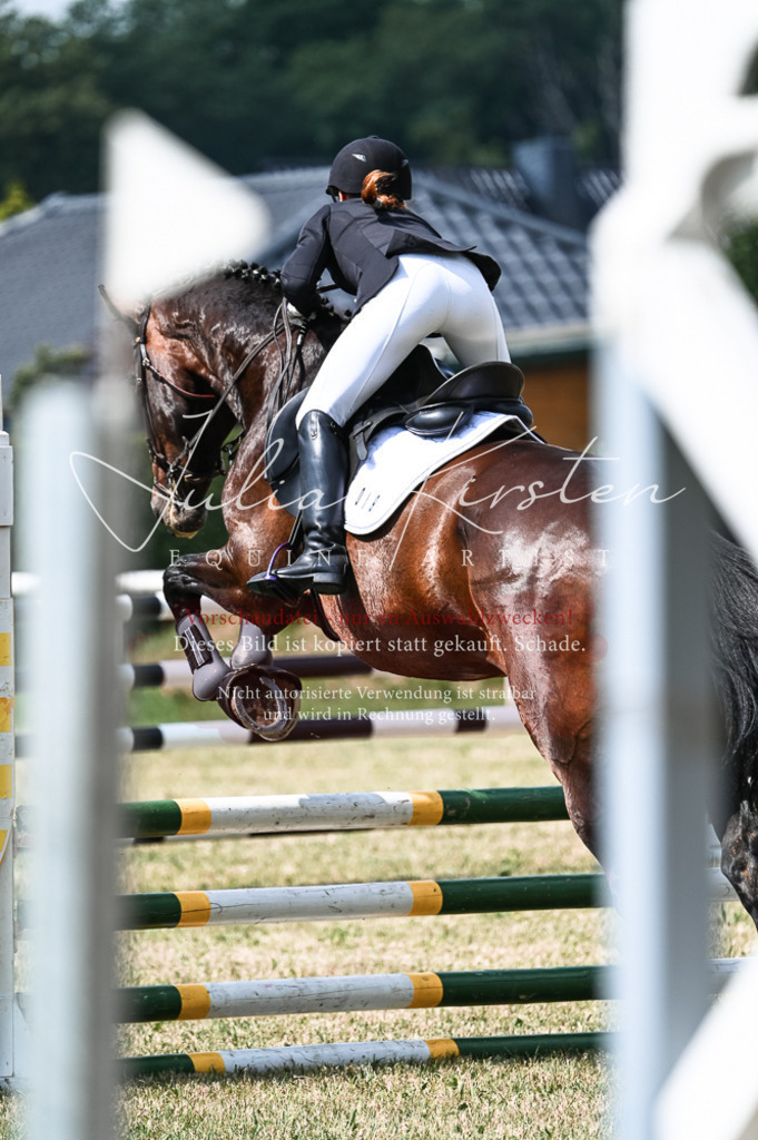DSC_8885 | Pferde- und Turnierfotografie in Westsachsen. Pferdeportraits, Auftragszeichnungen und intuitive Kunst.