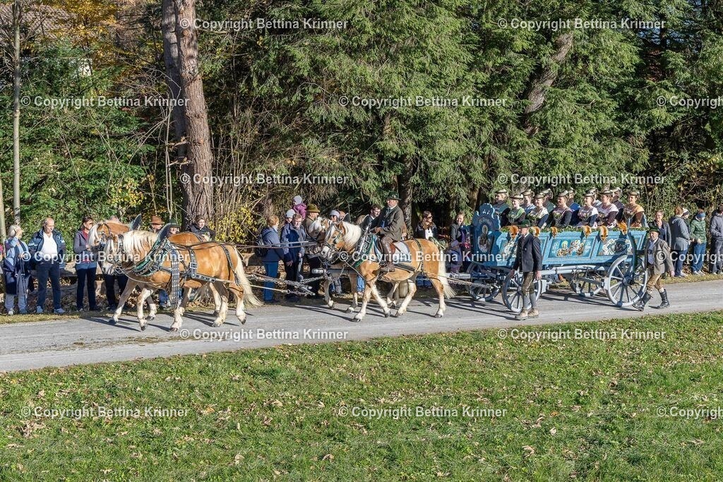 LBT25-381 | foto-bettina-krinner - Realisiert mit Pictrs.com
