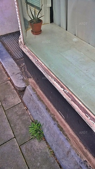 Stadt Natur 20 | ARDT Foto Kunst