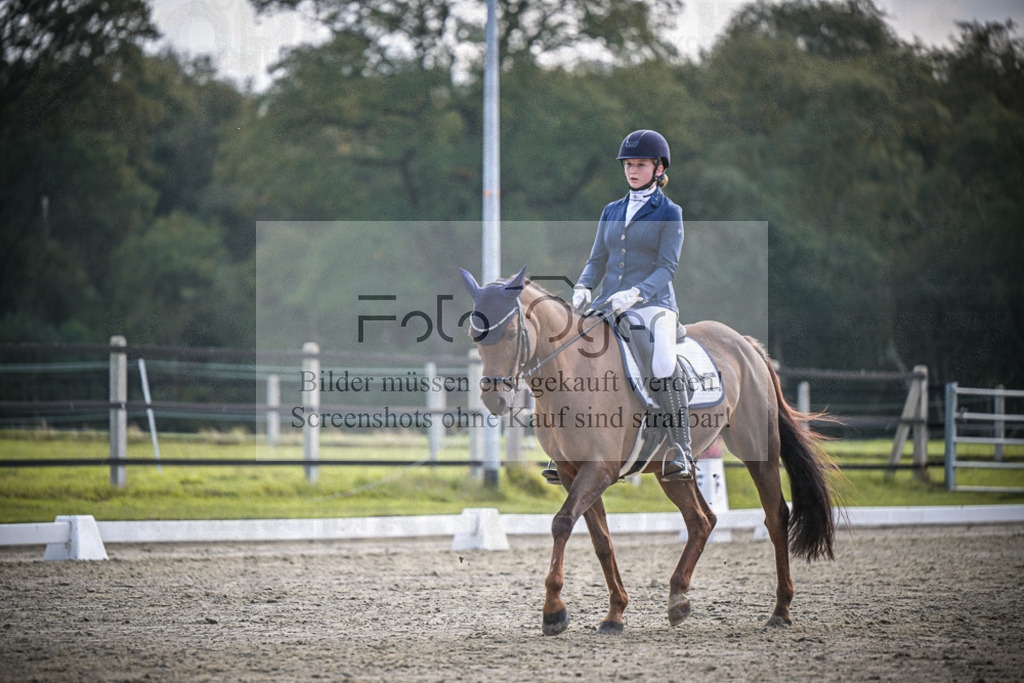 DOS_B176 | Entdecke hochwertige Reitturnierfotos von Foto Oger. Professionell, emotional und authentisch – jetzt Lieblingsmomente im Shop bestellen.Deutschlandweite Turnierfotografie. - Realisiert mit Pictrs.com