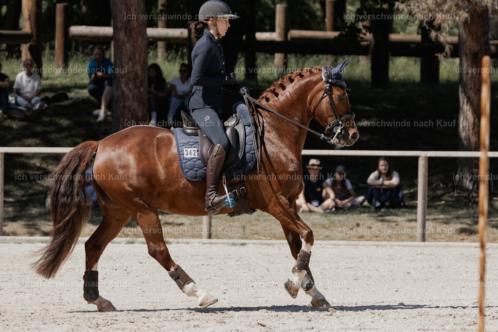 _AM18456 | working equitationturnier fotograf videograf stoibphotography marixx film working equitation deutschland reitsport turnierfotografie eventfotografie equestrian events