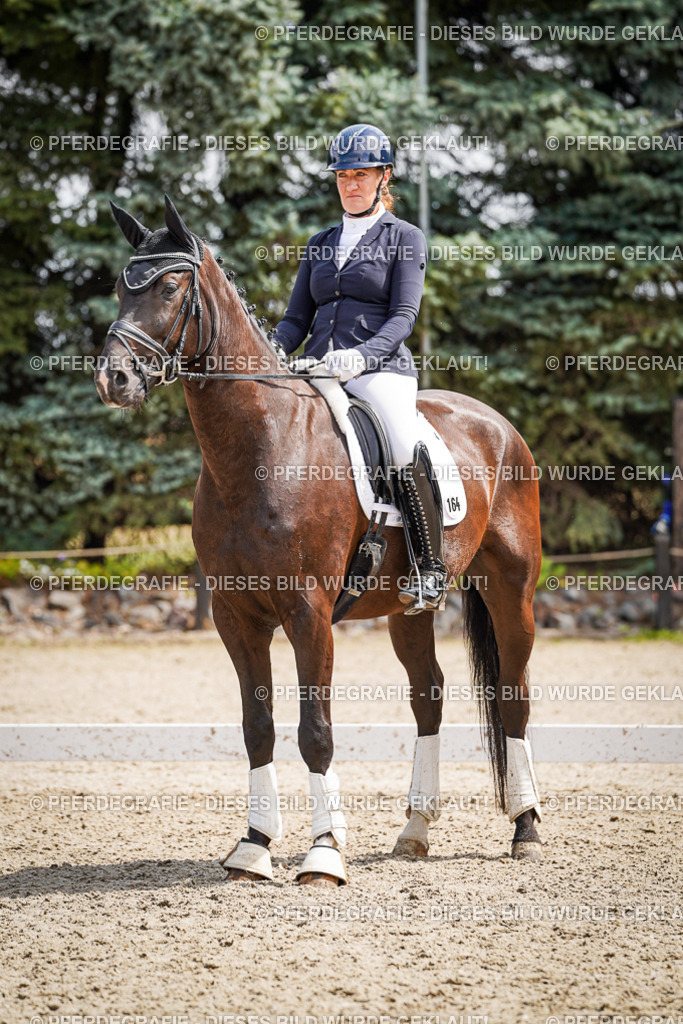 DSC09643 | Pferdegrafie