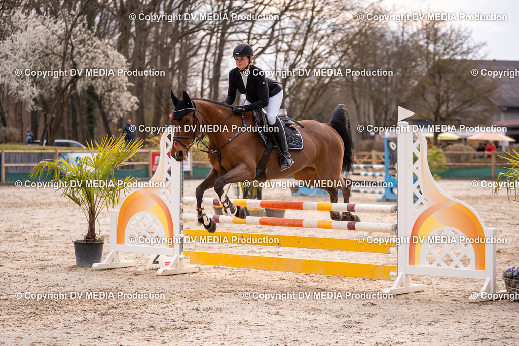 Kranichstein Tag 2-1311 | dv-media-shop - Realisiert mit Pictrs.com