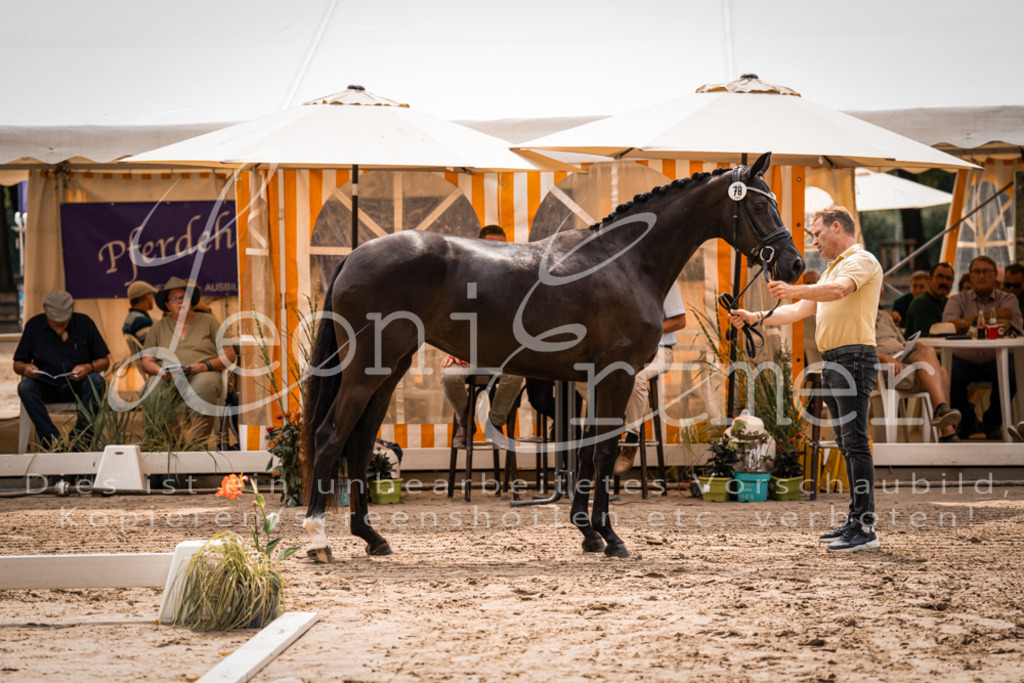 4.Fr00070 | Leoni Ertmer Photography - Realisiert mit Pictrs.com