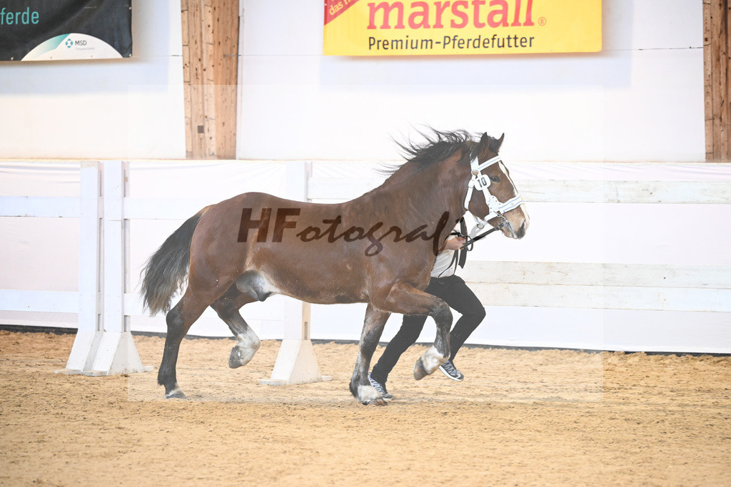 Kat-Nr. 10 v. Rivero_Fuchs_6240091 | hf-fotografie - Realisiert mit Pictrs.com