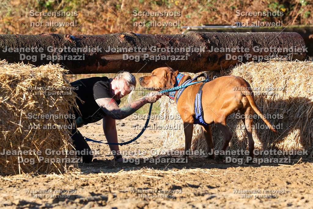 Dog Paparazzi - Strongdog 10-25-1172 | Dog Paparazzi Jeanette Grottendiek Fotografie & Videografie - Realisiert mit Pictrs.com