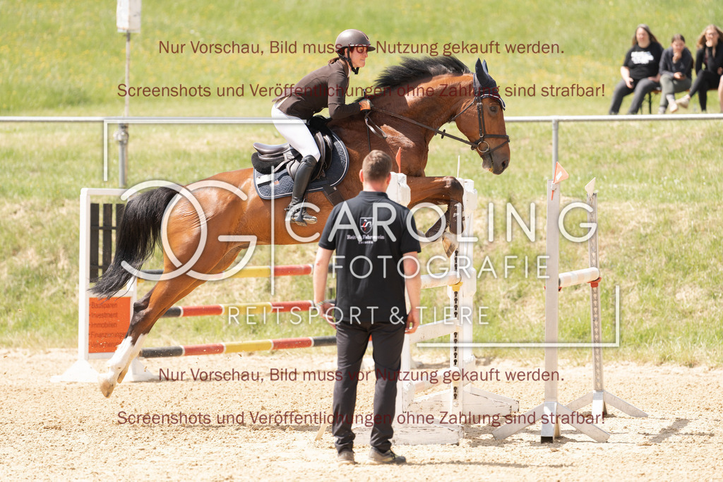 DSC06494 | Springturnier_Ehingen_Mai_2026, Sonja_Häuselmann, Caillou_Brillant