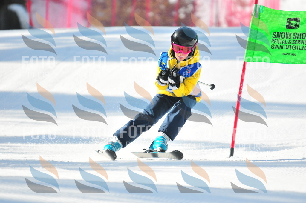 B8794 | holidayphoto