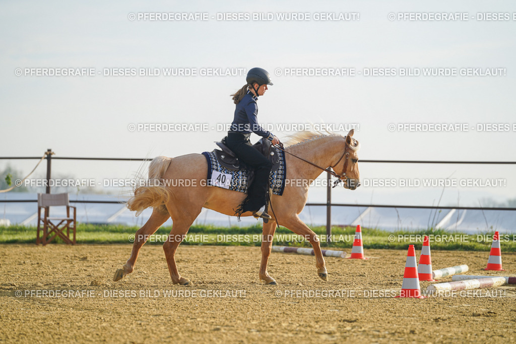 DSC09965 | Pferdegrafie