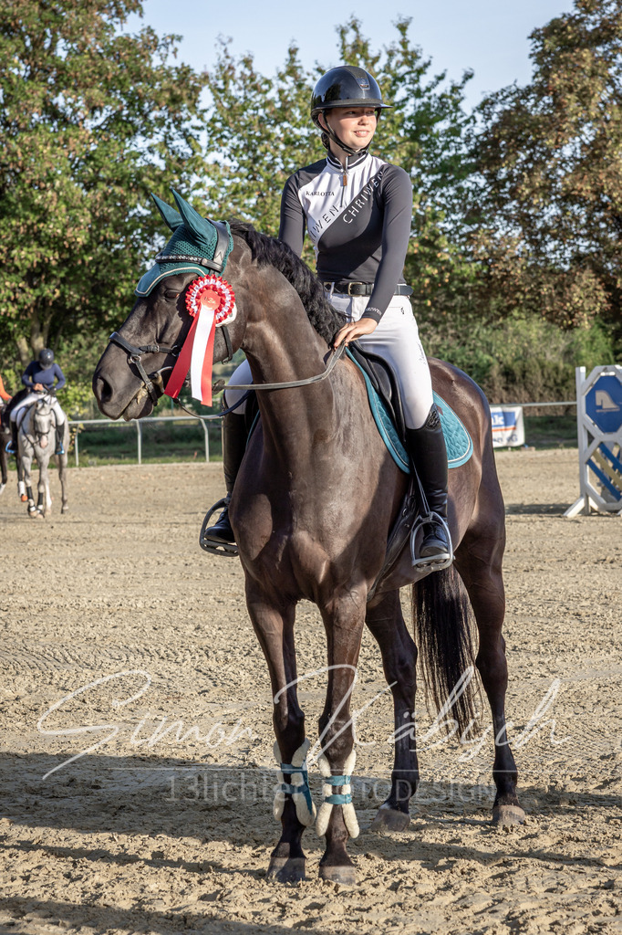 20250907-_3LI4799 | Tierfotografie Pferde, Hunde, Katzen, Haustiere.
Turnierfotografie Reitturniere, Reiten, Springreiten, Dressur in Hanau, dem Main-Kinzig-Kreis und dem Rhein-Main- Gebiet um Frankfurt