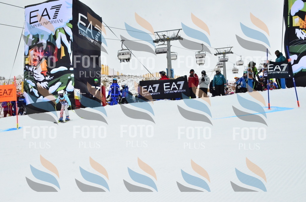 _ELE3363 | holidayphoto