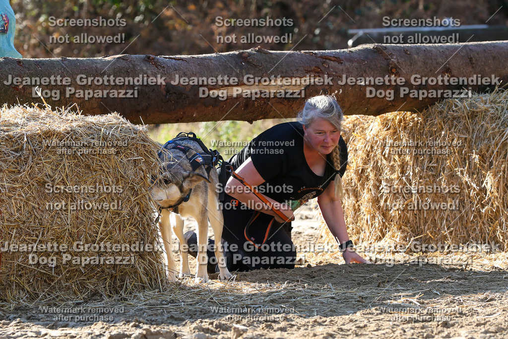 Dog Paparazzi - Strongdog 10-25-6049 | Dog Paparazzi Jeanette Grottendiek Fotografie & Videografie - Realisiert mit Pictrs.com