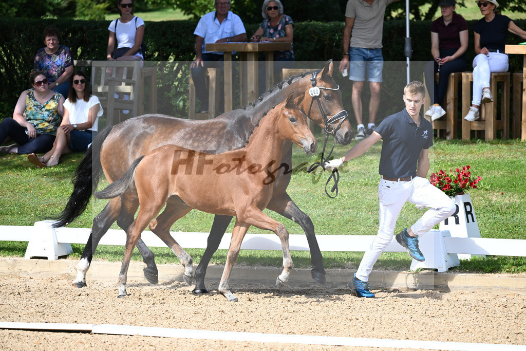 Kat-Nr. 8 SF DSP Va Bene x Ampere_Reglauer_27230170 | hf-fotografie - Realisiert mit Pictrs.com