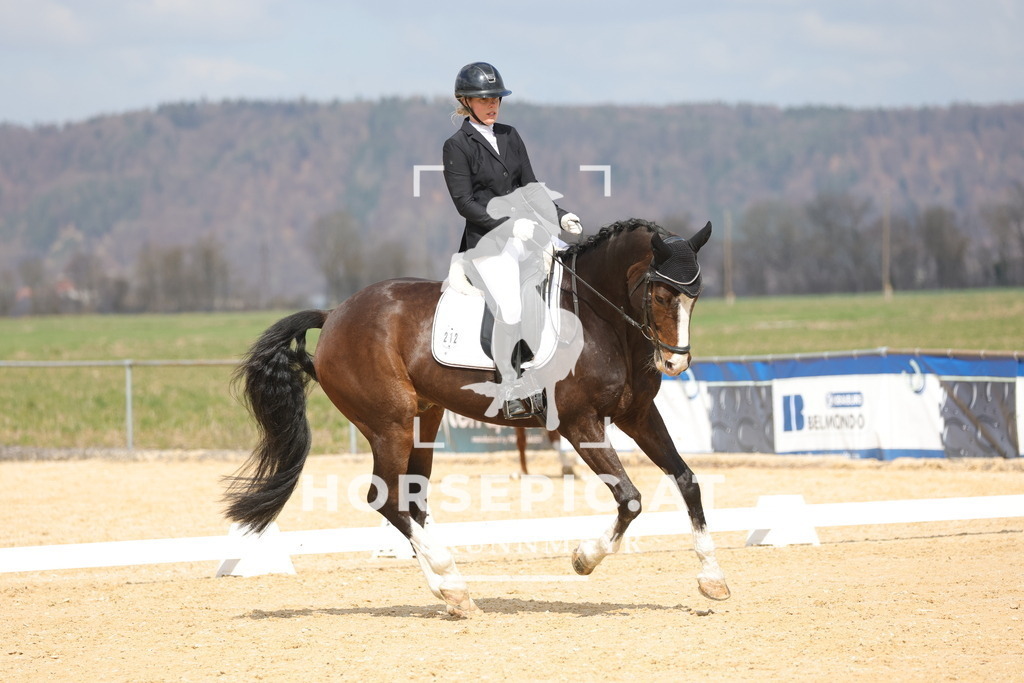 0P6A6822 | Willkommen bei Brunnmayr - Design & Fotografie – Ihrem Spezialisten für Reitturniere und Pferdeveranstaltungen in Oberösterreich, Salzburg und Bayern! Seit über 17 Jahren sind wir leidenschaftlich dabei.