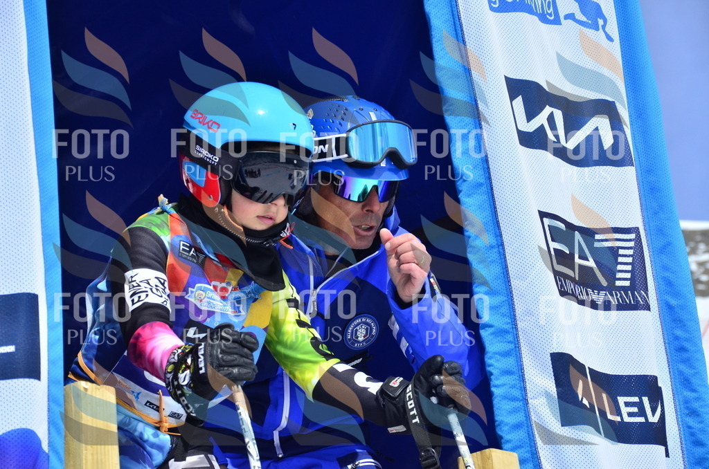 _ELE1749 | holidayphoto