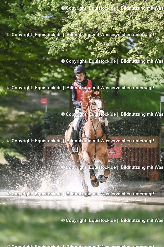 20250517_CCI2_Gelände_0864 | Foto: Thomas Hartig