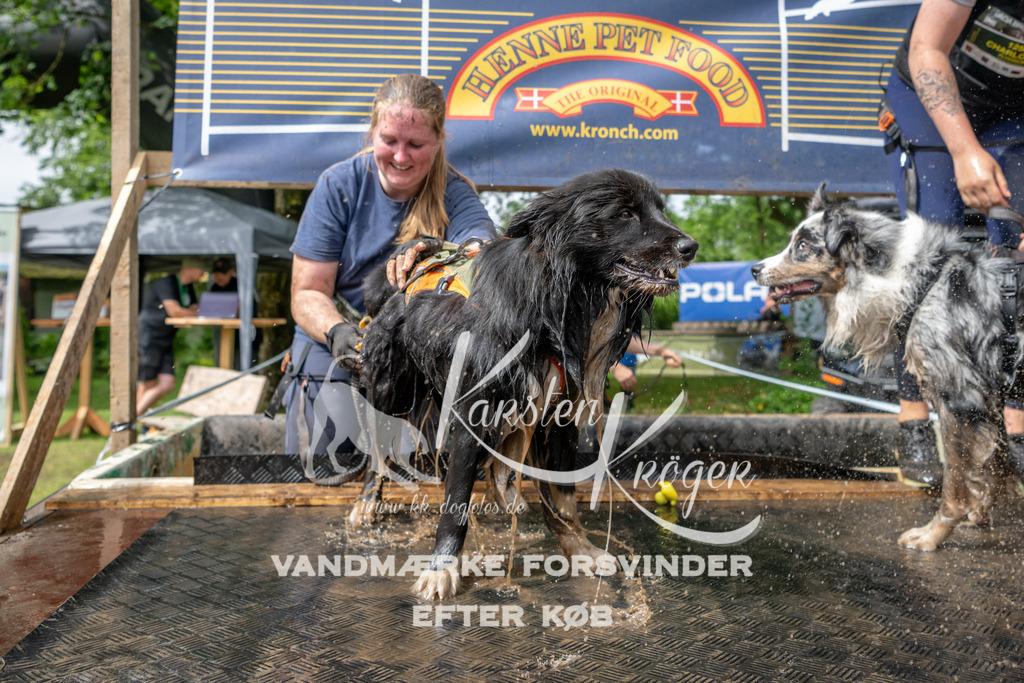 1014_ZZ90282 | kk-dogfotos