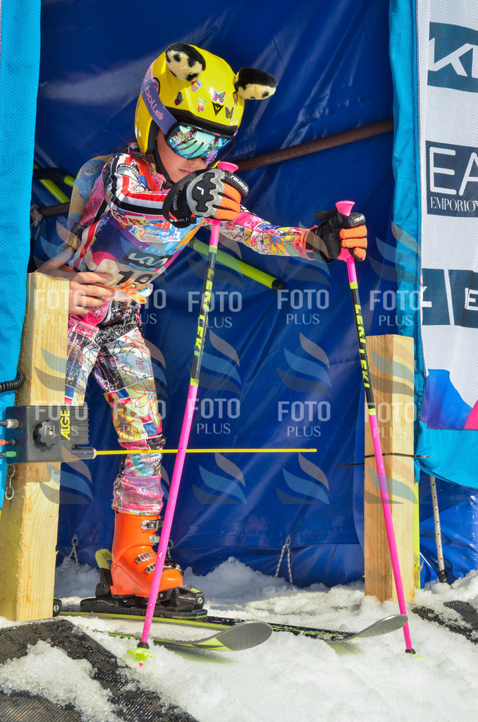 _ELE4704 | holidayphoto