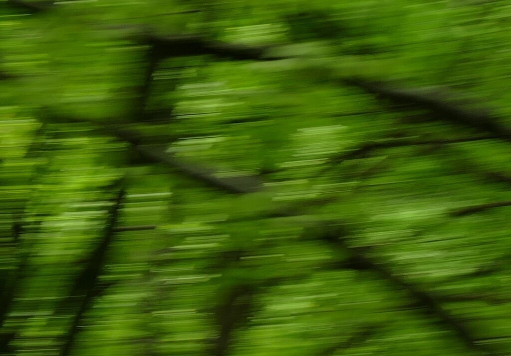 P3480192_b | Annaeherungen - Realisiert mit Pictrs.com