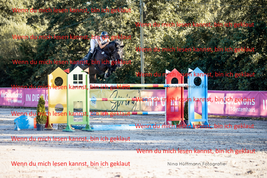 BK1A8829 | Turnierbilder Turnierfotos Nina Hüffmann Turnierfotografie Pferdefotografie Tierzeichnung Haustierzeichnung Pferdezeichnung Hundezeichnung Videograf  - Realisiert mit Pictrs.com