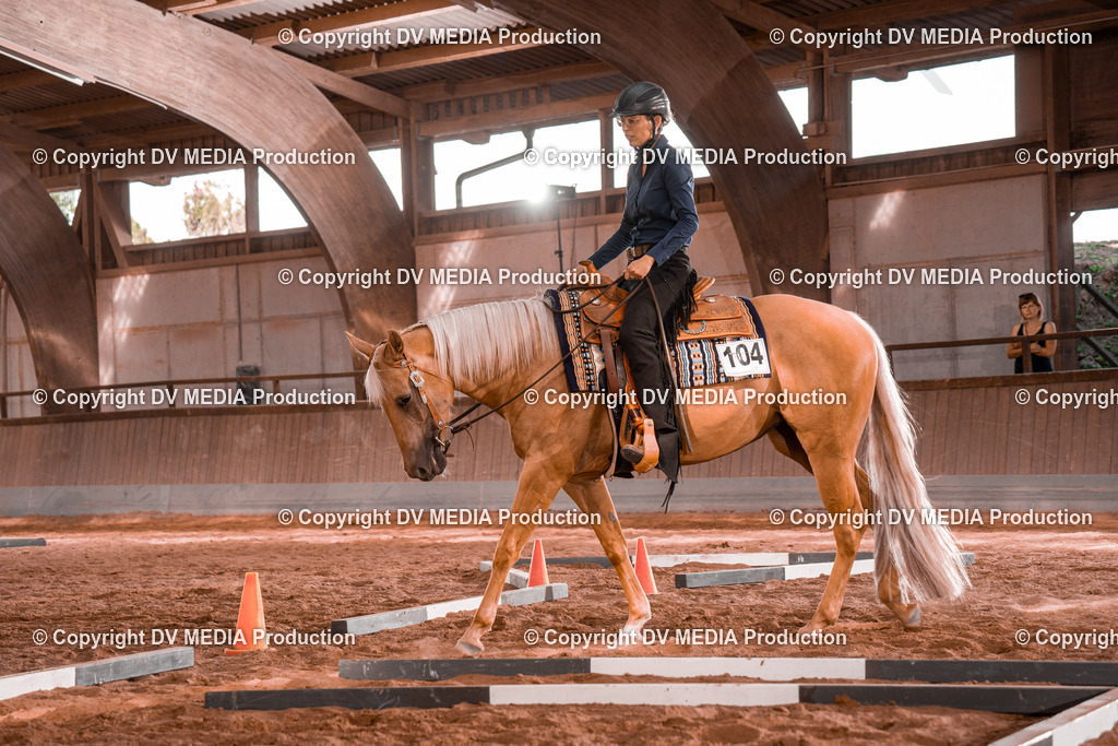 NE200222 | dv-media-shop - Realisiert mit Pictrs.com