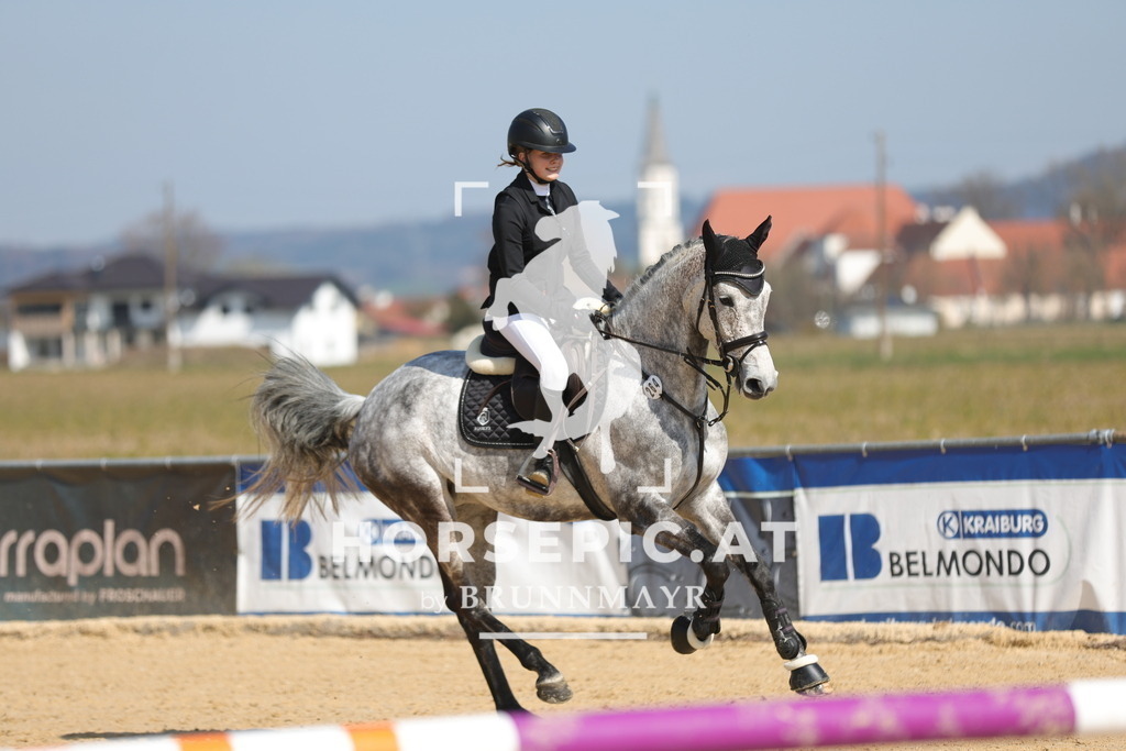 0P6A6840 | Willkommen bei Brunnmayr - Design & Fotografie – Ihrem Spezialisten für Reitturniere und Pferdeveranstaltungen in Oberösterreich, Salzburg und Bayern! Seit über 17 Jahren sind wir leidenschaftlich dabei.