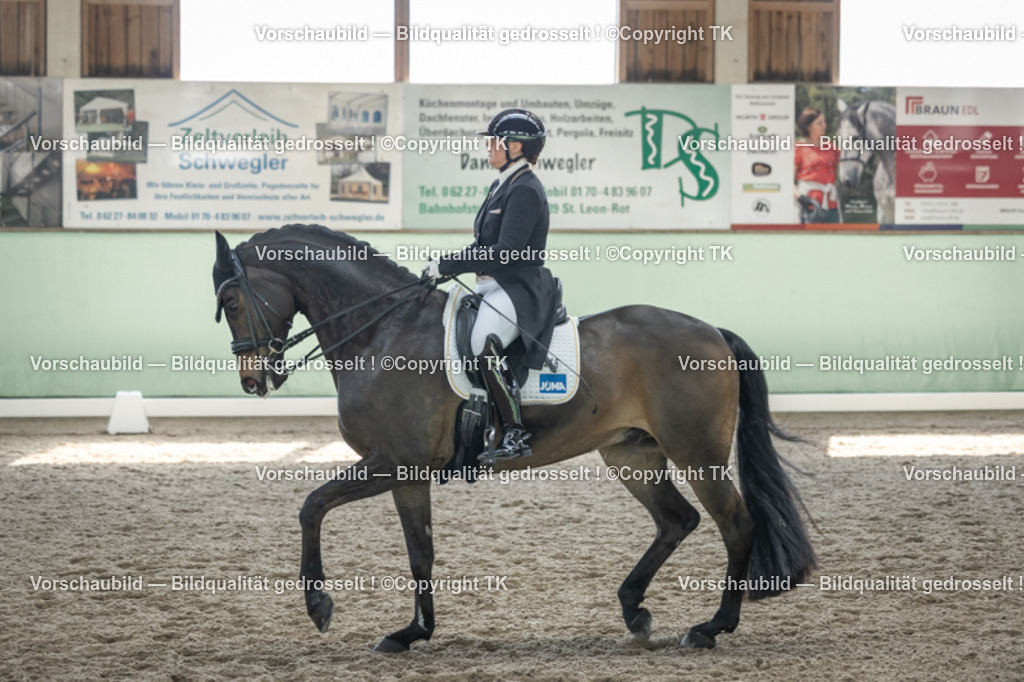 _D5A9511 | Emotionale Pferde- & People-Fotografie rund um Heidelberg, Leimen & Umgebung. Natürliche Fotos von Pferd, Mensch & Familie. Jetzt Termin sichern!