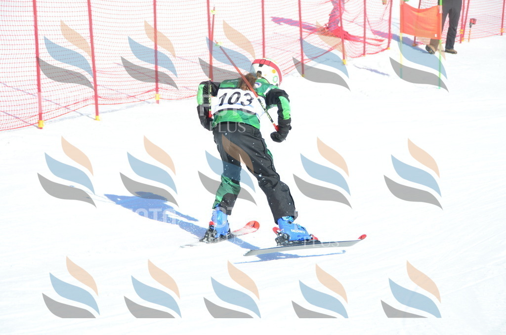 C5777 | holidayphoto