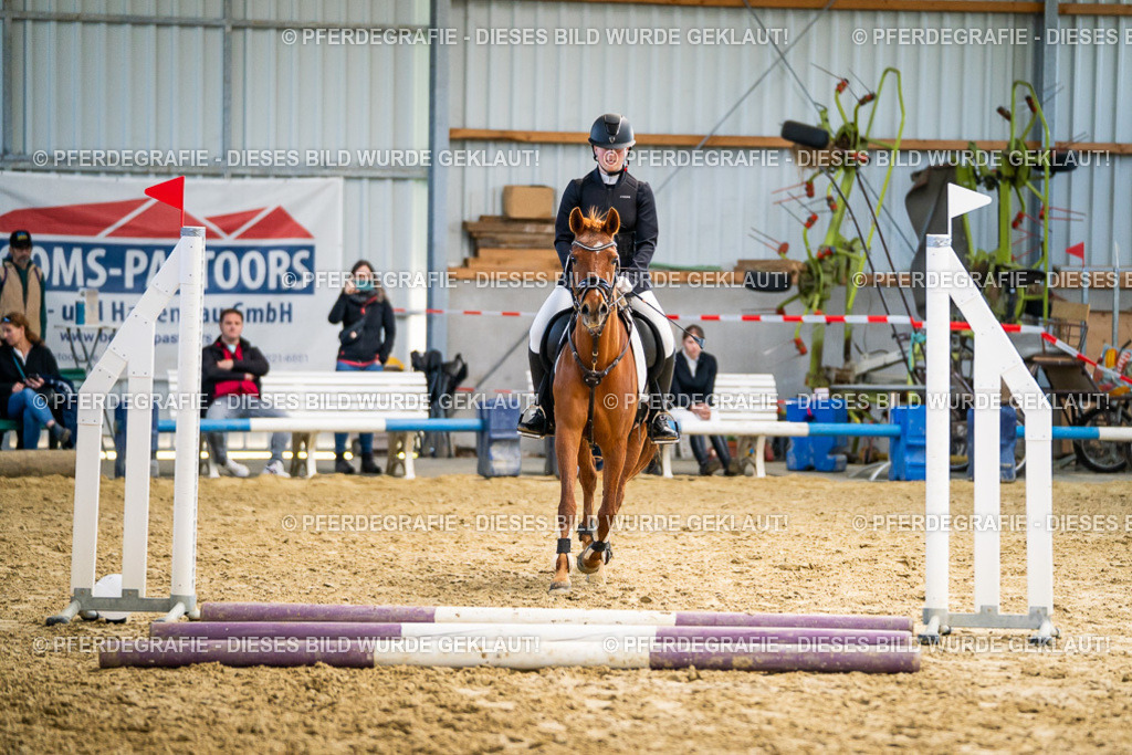 DSC01491 | Pferdegrafie