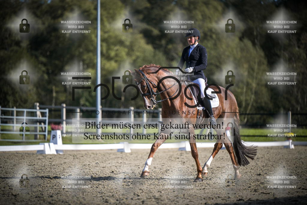 DOS_3692 | Entdecke hochwertige Reitturnierfotos von Foto Oger. Professionell, emotional und authentisch – jetzt Lieblingsmomente im Shop bestellen.Deutschlandweite Turnierfotografie. - Realisiert mit Pictrs.com