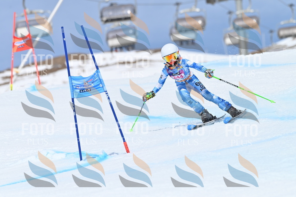 BGV_1774 | holidayphoto