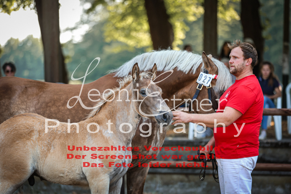 FrKHF00018 | Leoni Ertmer Photography - Realisiert mit Pictrs.com