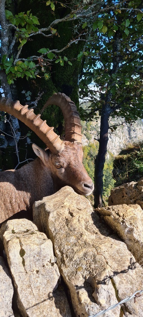 20211010_122120 | Heilkarten - Realisiert mit Pictrs.com