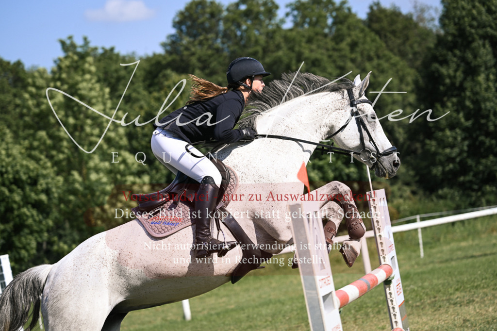 DSC_1057 | Pferde- und Turnierfotografie in Westsachsen. Pferdeportraits, Auftragszeichnungen und intuitive Kunst.