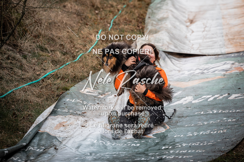 nelerasche_1330-1400_12 | nelerasche
