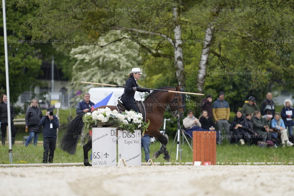 PI26_SP_Stoibphotography_A747405.JPG | working equitationturnier fotograf videograf stoibphotography marixx film working equitation deutschland reitsport turnierfotografie eventfotografie equestrian events