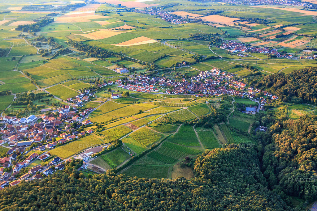 Luftbild: Winzerdorfansicht von Nordwesten im Ortsteil Gleishorbach in Gleiszellen-Gleishorbach im Bundesland Rheinland-Pfalz in Deutschland. Foto: IMG_091843.jpg vom 16.07.2016 durch Werner Riehm/FLY-FOTO.de