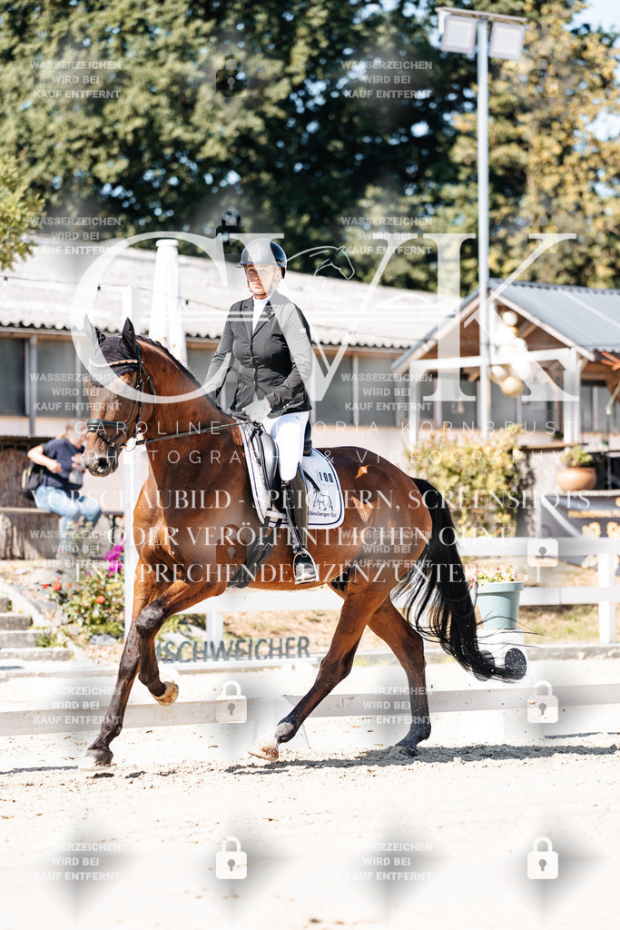 CK909191 | Turnierfotografie Pferdefotografie Trier Rheinland-Pfalz Pferdesport Reitsport Tierfotografie Sportfotografie Pferdevideo Pferdevideografie Equestrianvideography equestrianphotography  - Realisiert mit Pictrs.com