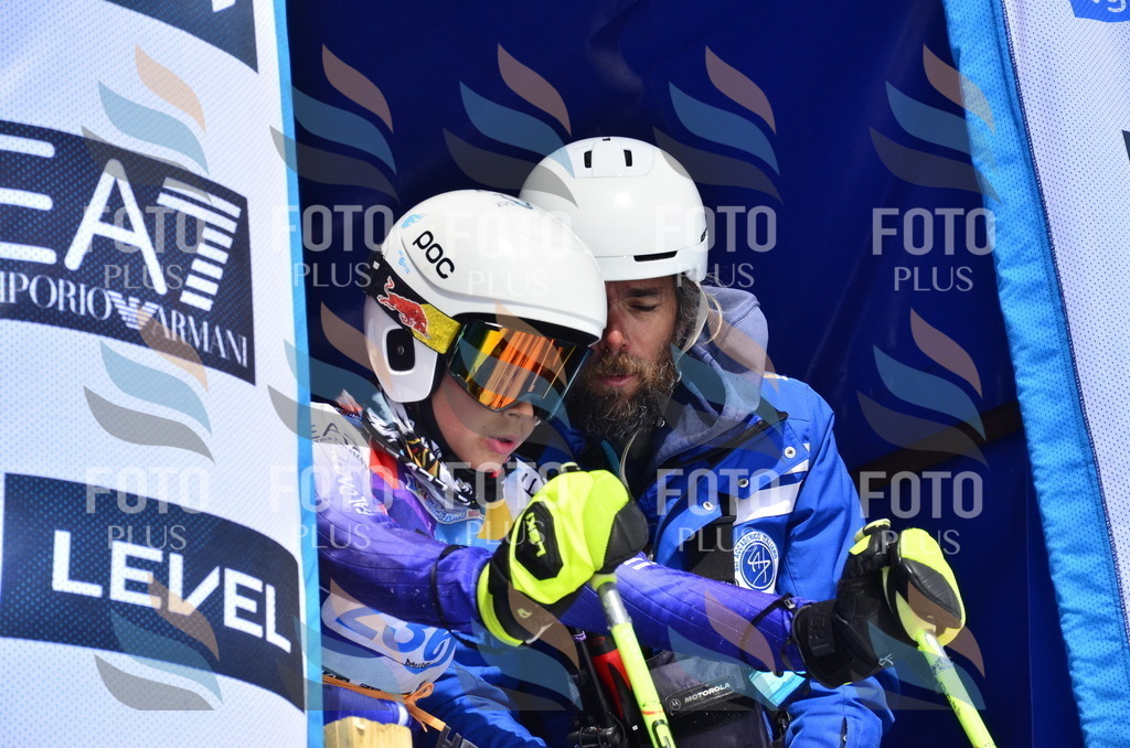 _ELE1688 | holidayphoto