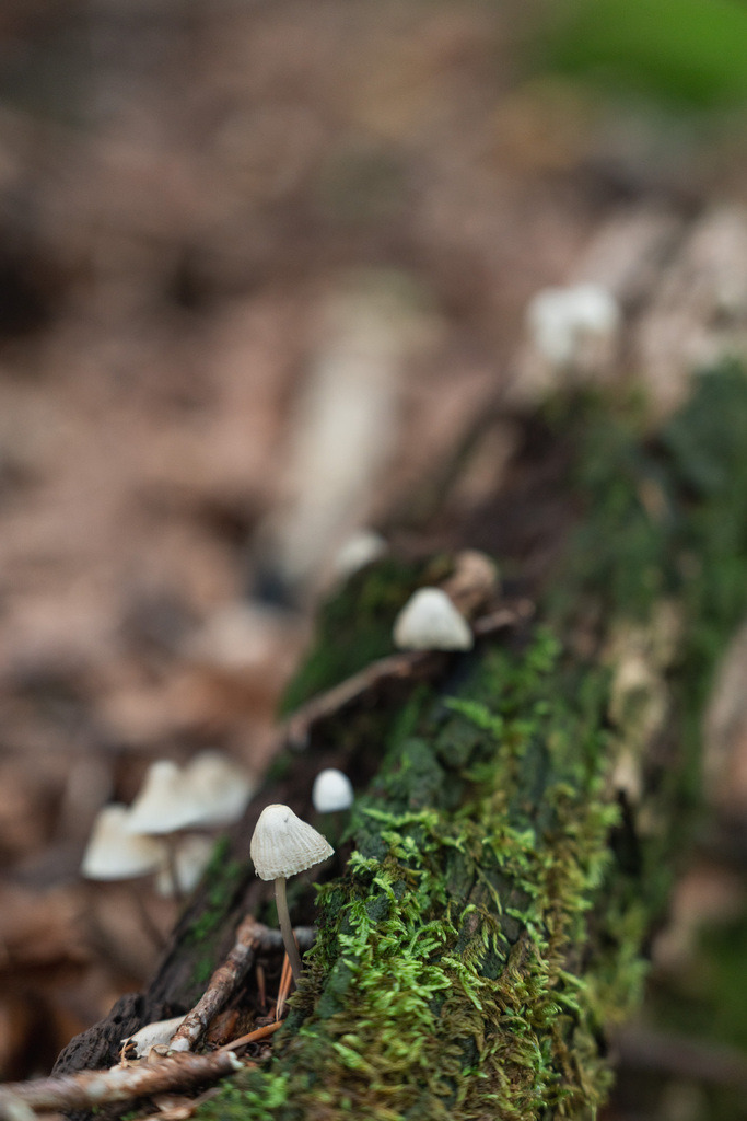 ZD250916093856 | Fotoshop von zweidimensional Fotografie. Ihr Fotograf im Aargau. Abzüge von Ihrem Fotobox Event bestellen.Abzüge von Ihrem Hochzeit bestellen.Abzüge von Ihrem Schulfotograf bestellen.