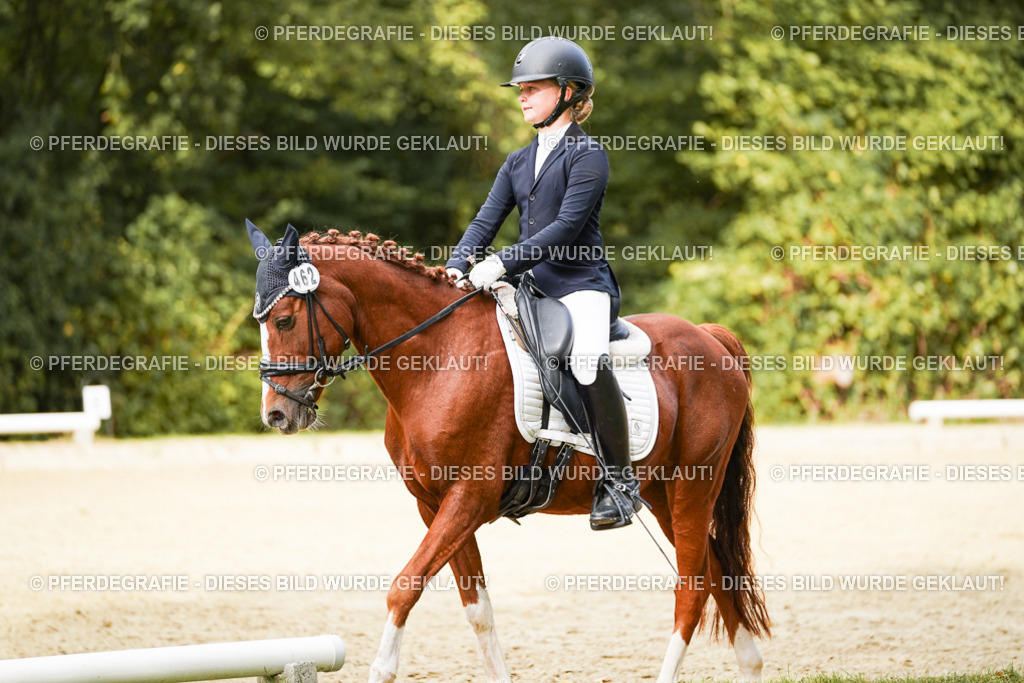 DSC03643 | Pferdegrafie