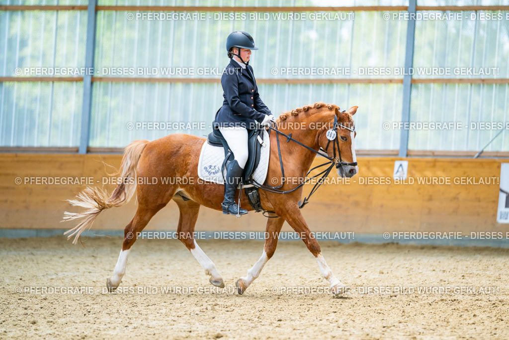 DSC09600 | Pferdegrafie