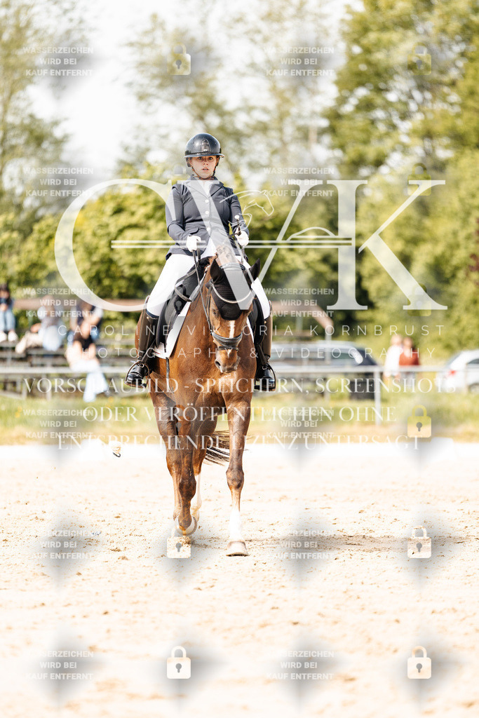 CK901355 | Turnierfotografie Pferdefotografie Trier Rheinland-Pfalz Pferdesport Reitsport Tierfotografie Sportfotografie Pferdevideo Pferdevideografie Equestrianvideography equestrianphotography  - Realisiert mit Pictrs.com