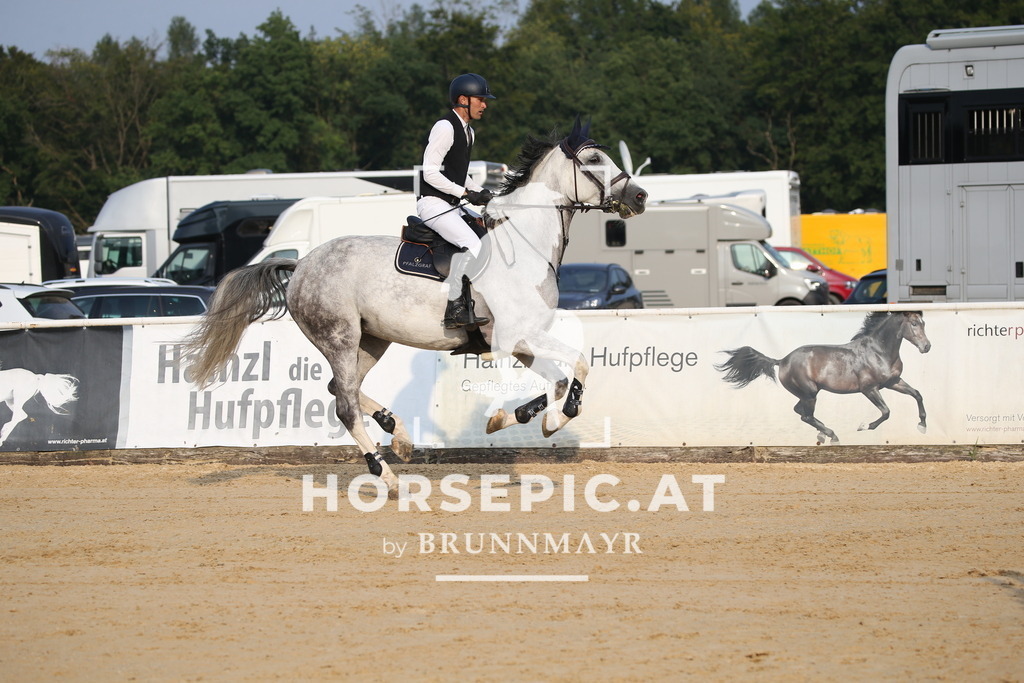 DL2Q5567 | Willkommen bei Brunnmayr - Design & Fotografie – Ihrem Spezialisten für Reitturniere und Pferdeveranstaltungen in Oberösterreich, Salzburg und Bayern! Seit über 17 Jahren sind wir leidenschaftlich dabei.