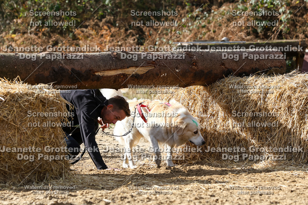 Dog Paparazzi - Strongdog 10-25-5544 | Dog Paparazzi Jeanette Grottendiek Fotografie & Videografie - Realisiert mit Pictrs.com