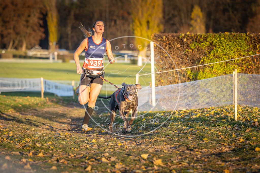 CaniXpix_DV3A5331 | Hundefotografie, Tierfotograf, Pfotenfotografie, Fotoshooting Hund, Hunde Portrait, Hundesport, Hundeportraits, Heideshooting, Hunde, Sportfotograf, Hundefotograf, Turnierhundsport, THS,  - Realisiert mit Pictrs.com